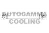 AUTOGAMMA 105727 Intercooler, charger